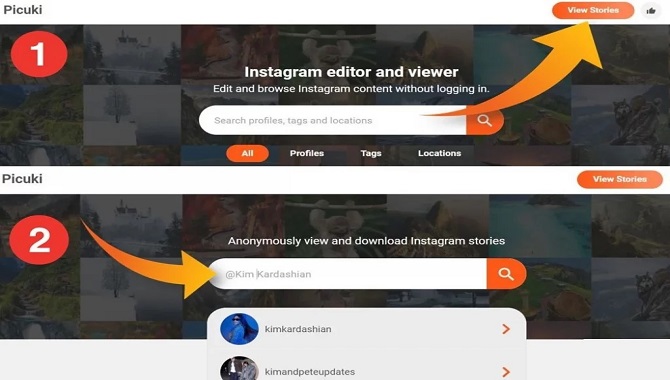 What is the Method to View an Instagram Profile Using Picuki