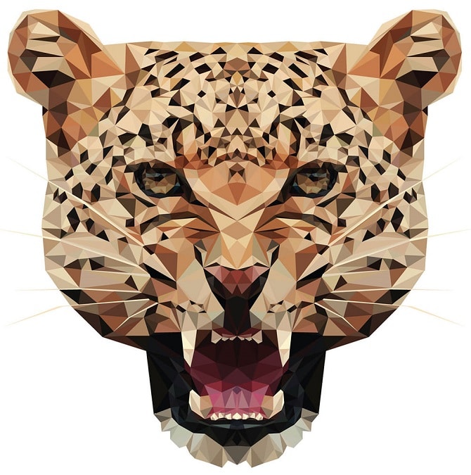 hopelittle-cheetah