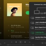 Spotify Web Player