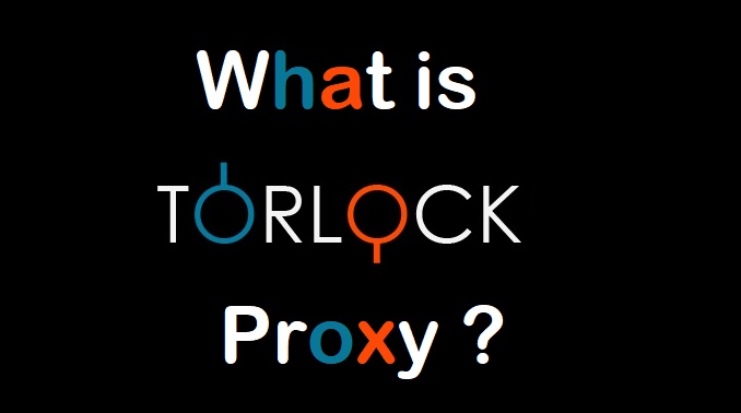 What is a Torlock Proxy